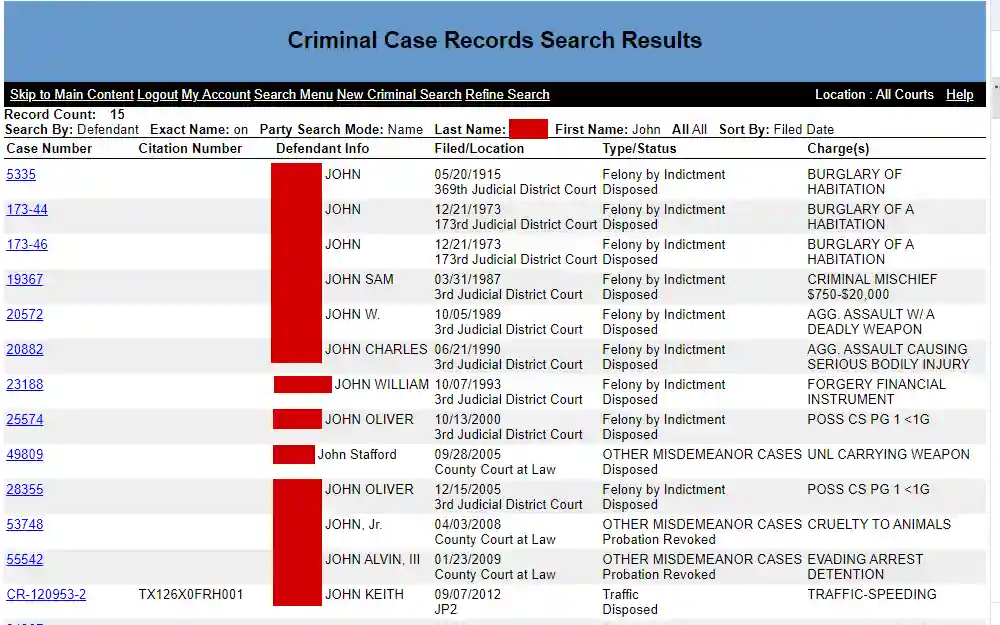 A screenshot of the search tool that allows users to obtain criminal case data across Anderson County.