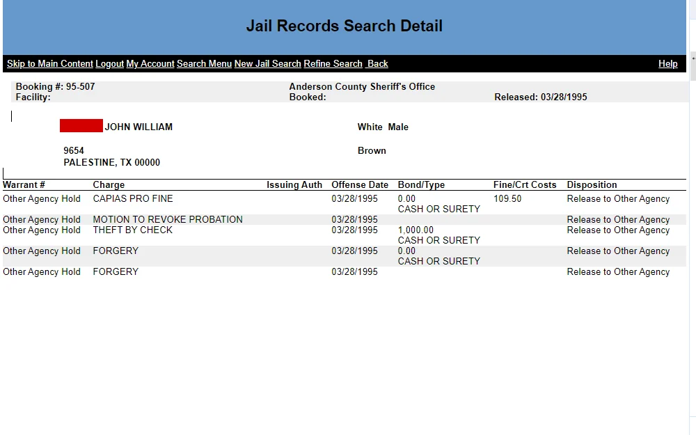 A screenshot of the search tool that allows users to obtain jail data across Anderson County.